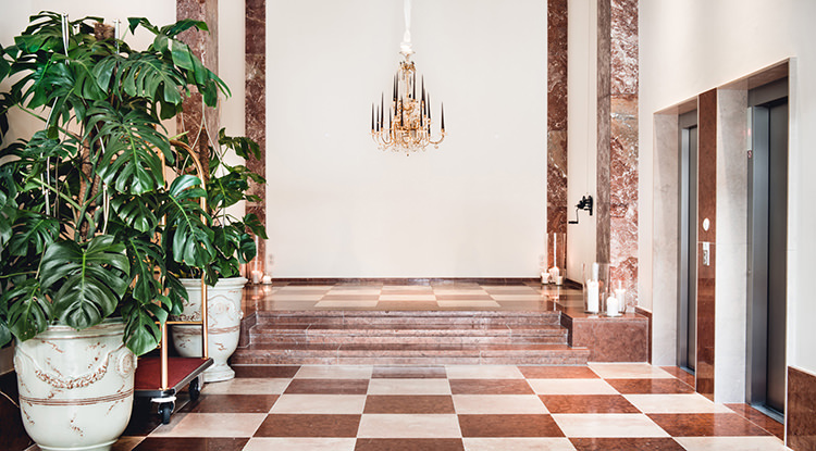 In/Out: Grand Ferdinand