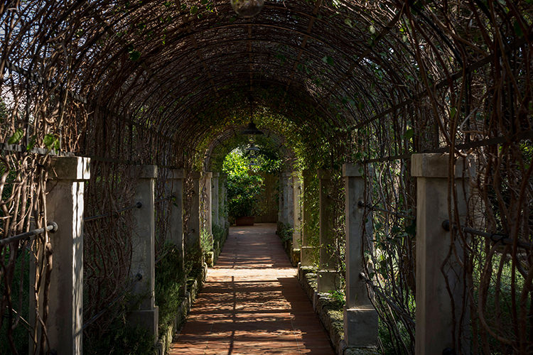 In/Out: Palazzo Margherita
