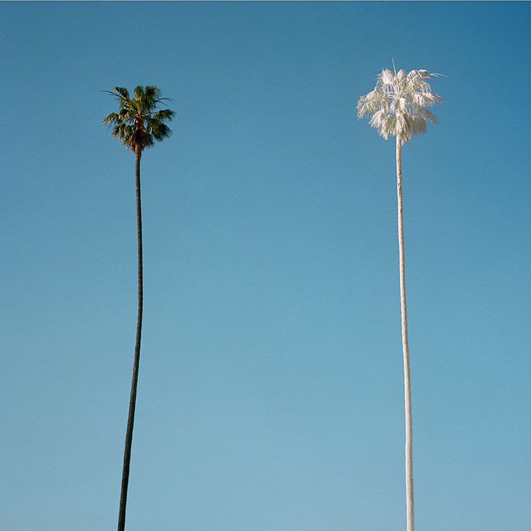 In/Out: Out/About: George Byrne 'Local Division'