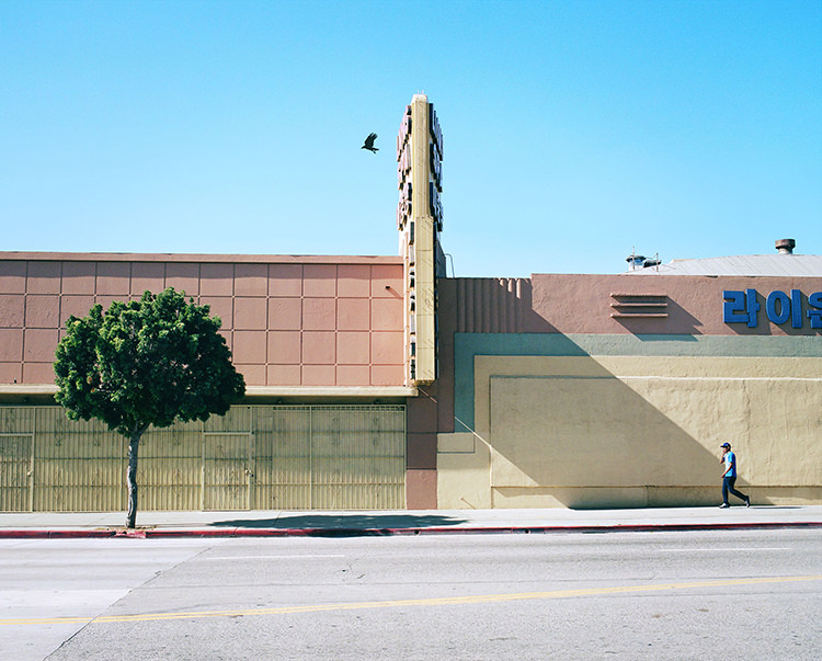 In/Out: Out/About: George Byrne 'Local Division'