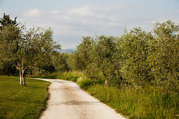 In/Out: A bohemian family farm in rural Tuscany