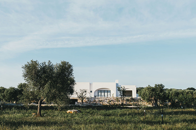 In/Out:Masseria Moroseta Puglia_08