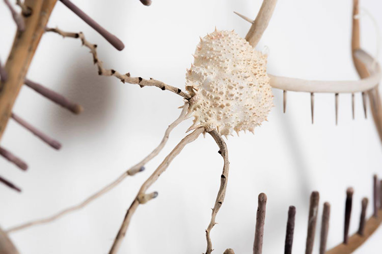 In/Out: Shona Wilson at Arthouse Gallery