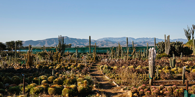 In/Out: The Robertson Small Hotel