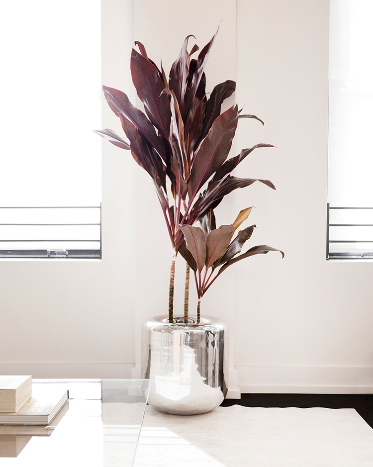 In/Out: Grace Lee Atelier by Early Work Studio