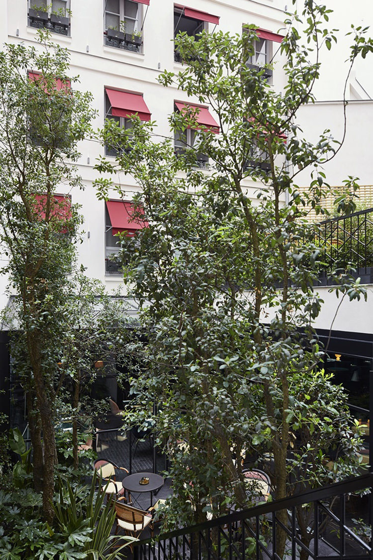 In/Out: Le Roch Hotel Paris