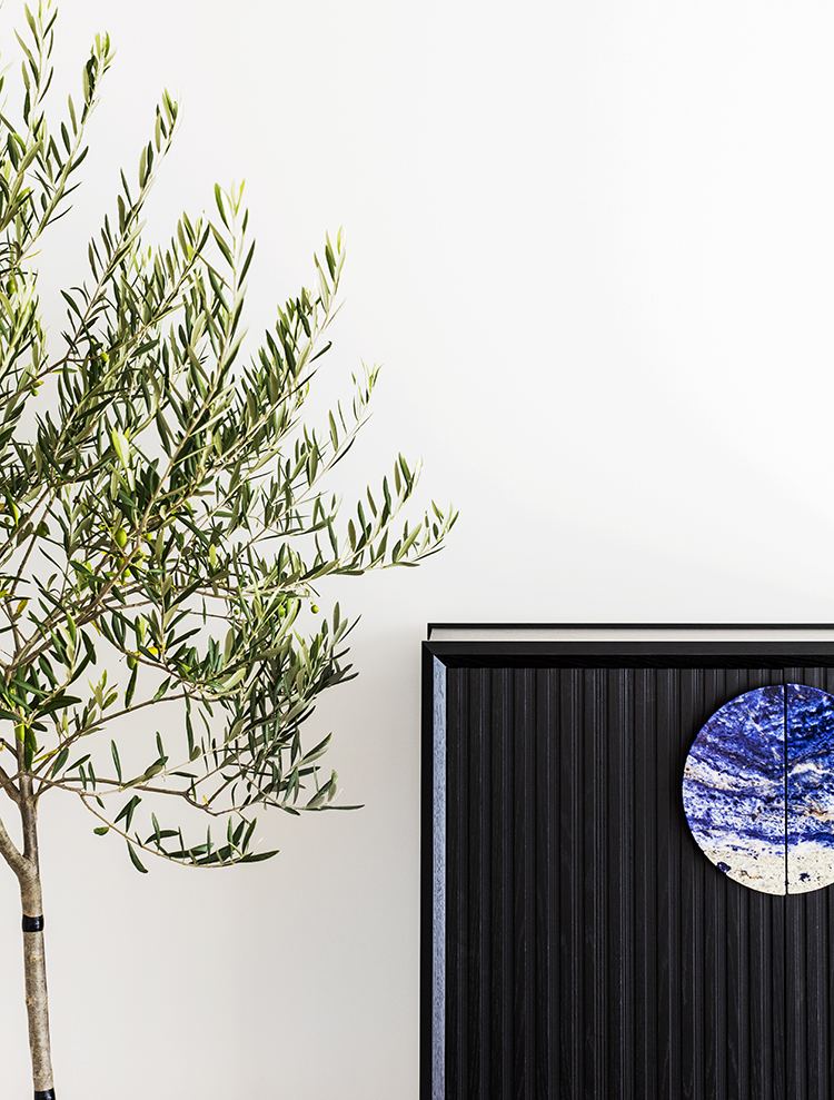 In/Out: Bellevue Hill House by Arent&Pyke