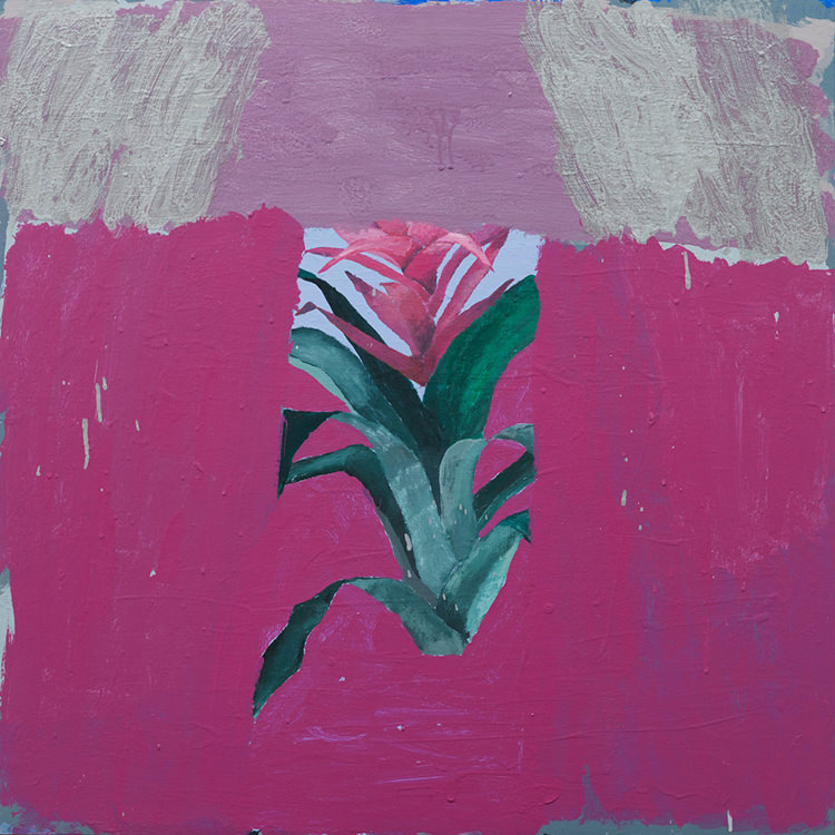 In/Out: Sally Anderson - 'The Washdown and Salvation Jane'