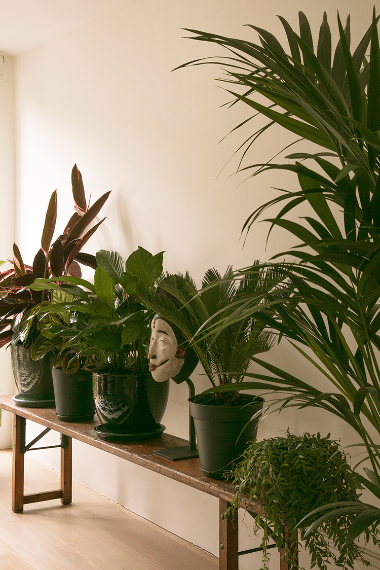 In/Out: Fanny Moizant