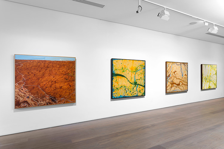 In/Out: John Olsen