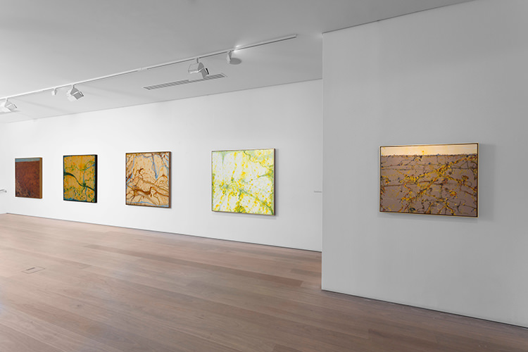 In/Out: John Olsen