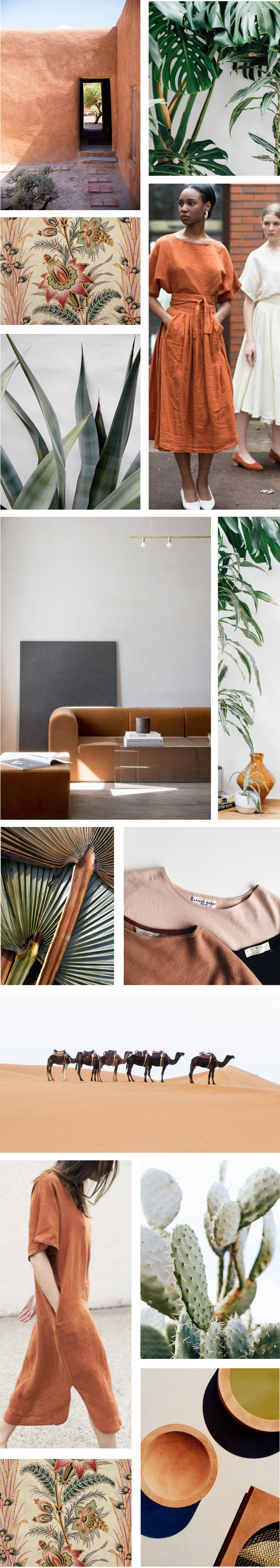 In/Out: Terracotta & Desert Greens
