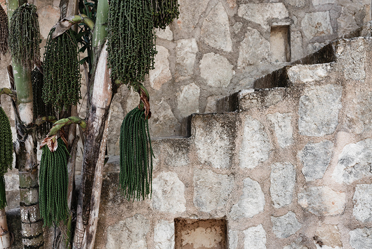 In/Out: Coqui Coqui Coba
