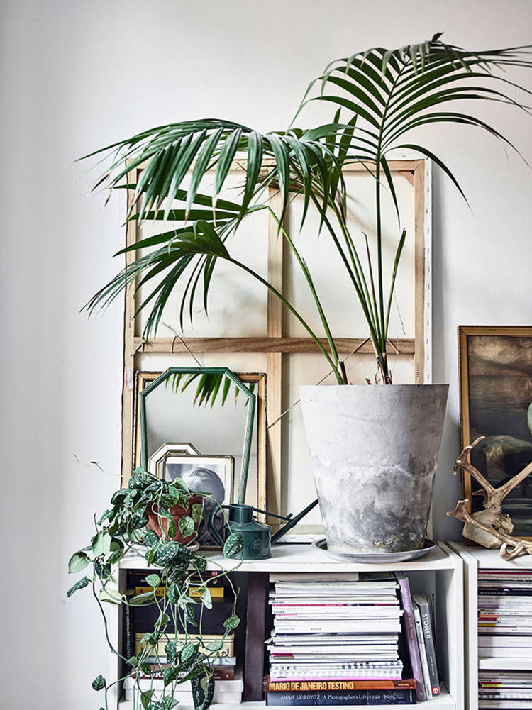 In/Out: Amelia Widell