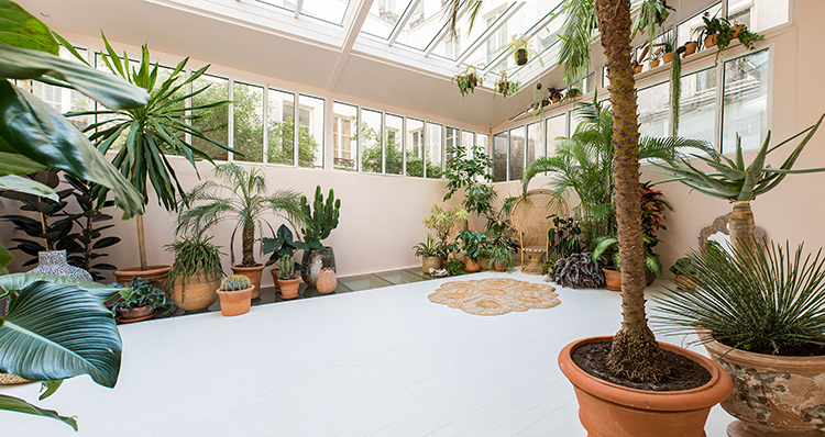 In/Out: Villa Rose