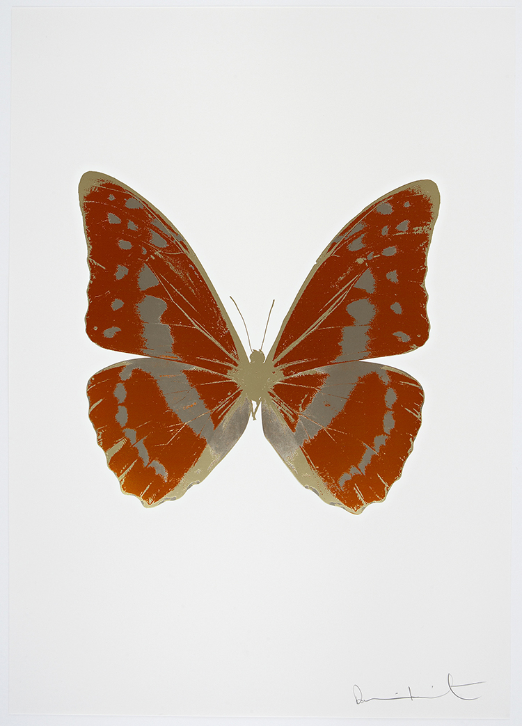 In/Out:SydneyContemporary17
