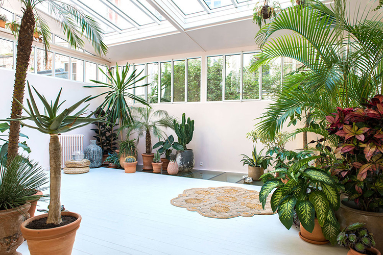 In/Out: Villa Rose