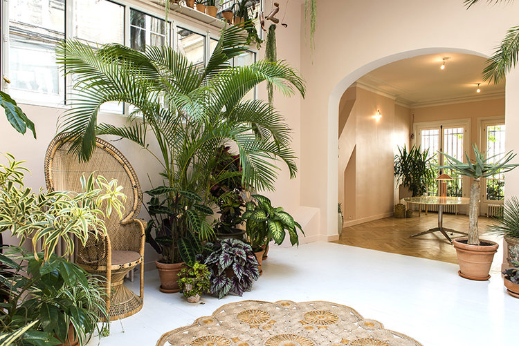 In/Out: Villa Rose