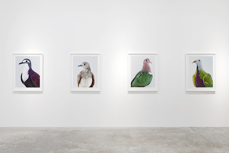 In/Out:LeilaJeffreys