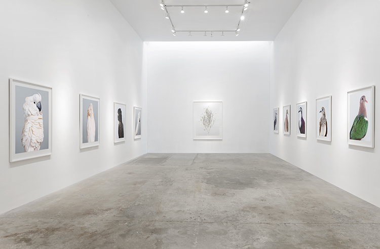 In/Out:LeilaJeffreys