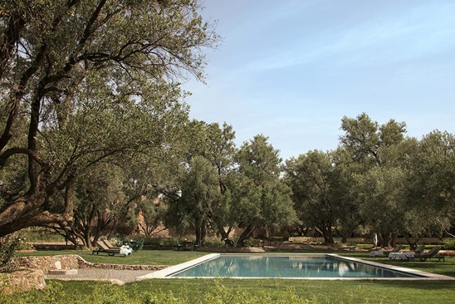 In/Out:Berberlodge