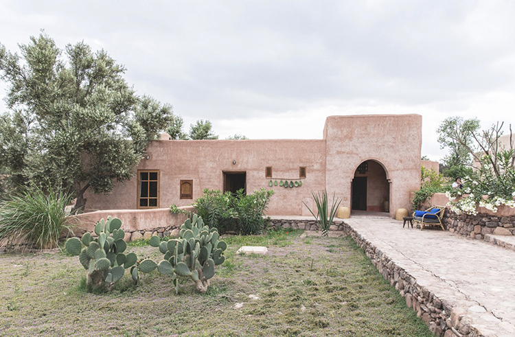 In/Out:Berber