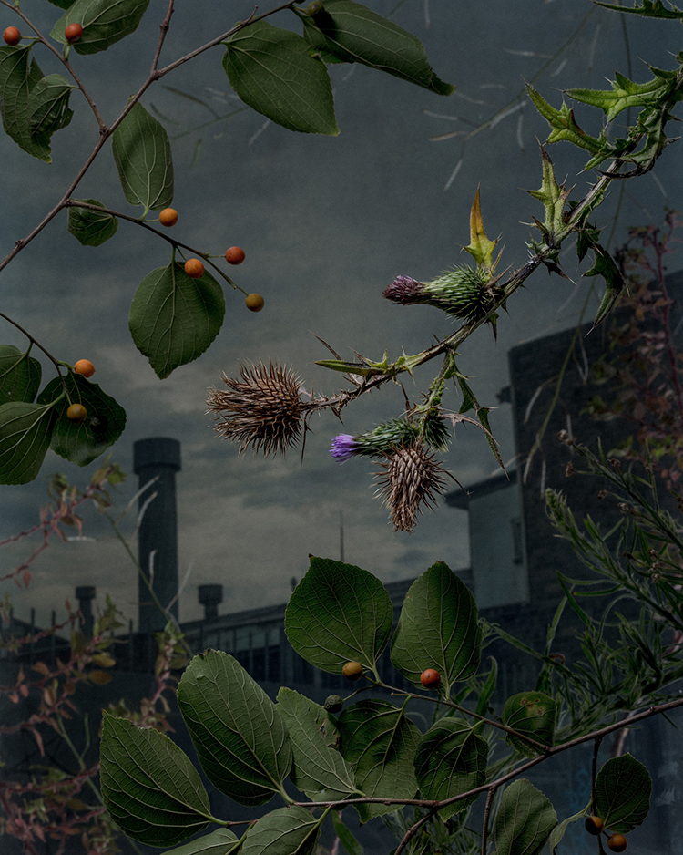 In/Out:Danielshipp