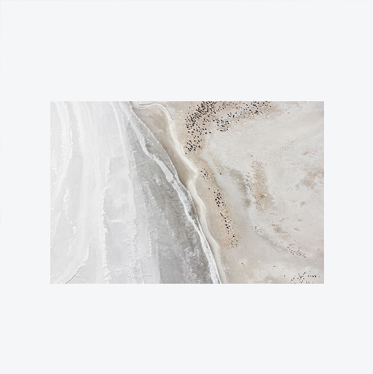 In/Out:Brooke Holm