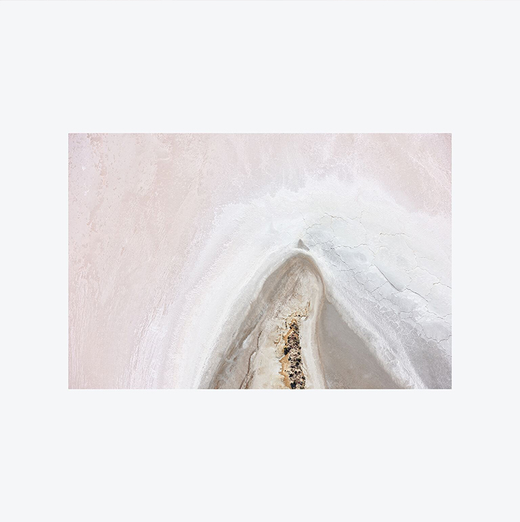 In/Out:Brooke Holm